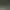 Deux personnes font du vélo sur un chemin forestier entouré d'arbres et de végétation