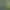 Un homme en chemise blanche et casquette verte conduit un véhicule de golf sur un parcours, avec des clubs de golf à l'arrière