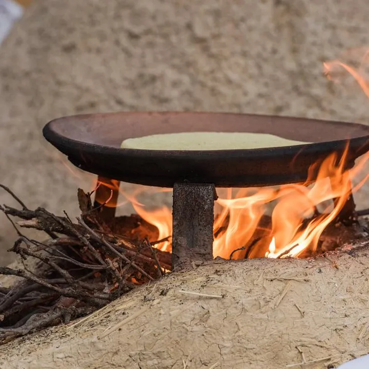 A metal pan cooks food over a wood fire lit on a tree trunk.
