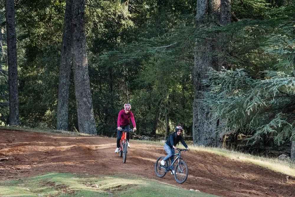 Two people are cycling on a forest path surrounded by trees and vegetation.
