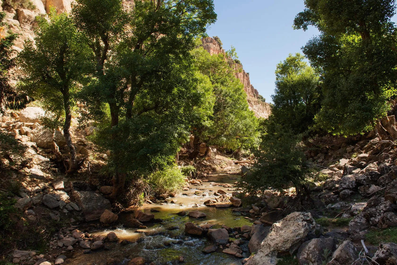 A stream winds between rocks and green trees in a rocky canyon under a blue sky.
