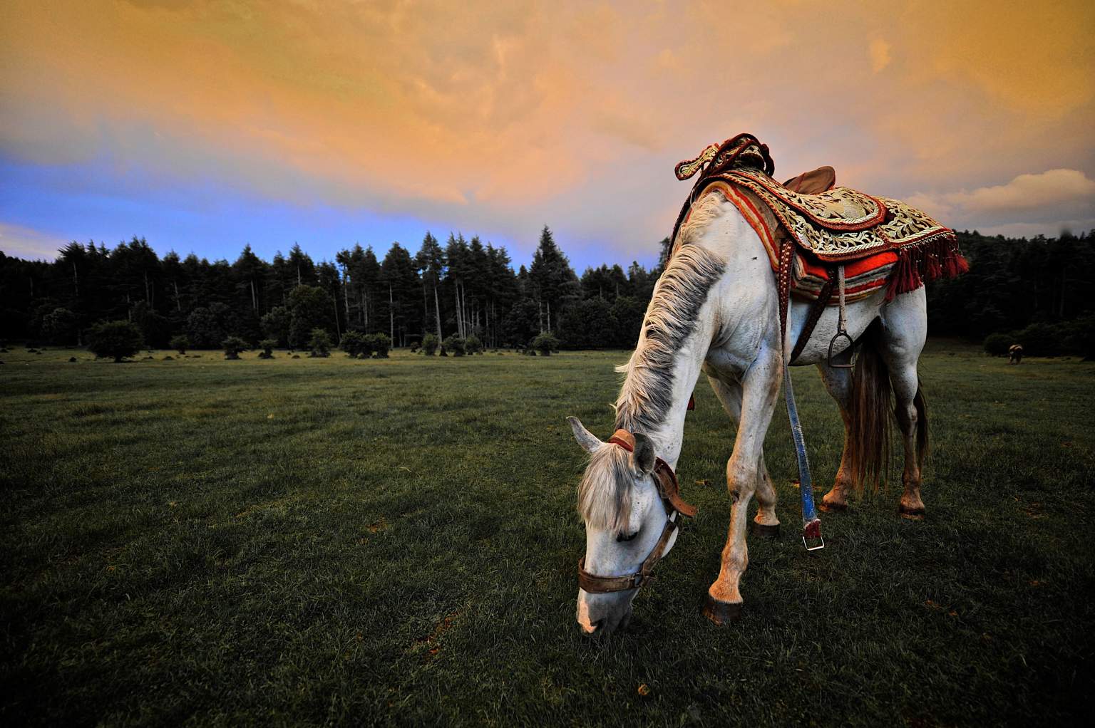 Le luxe grandeur nature à Ifrane